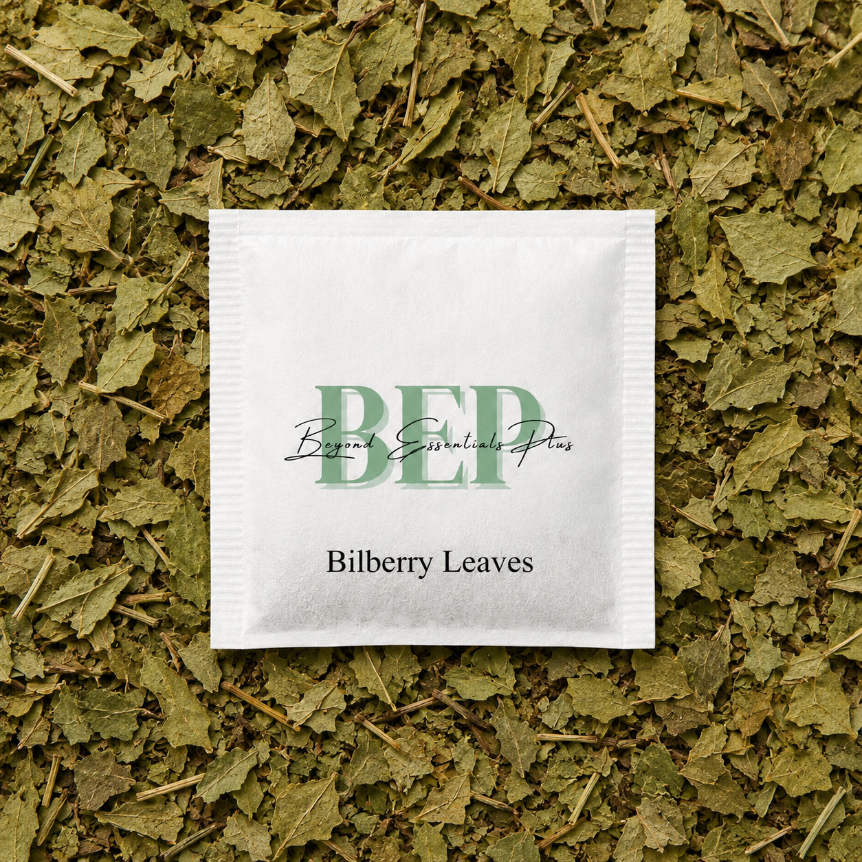 Bilberry Leaves Tea Bag