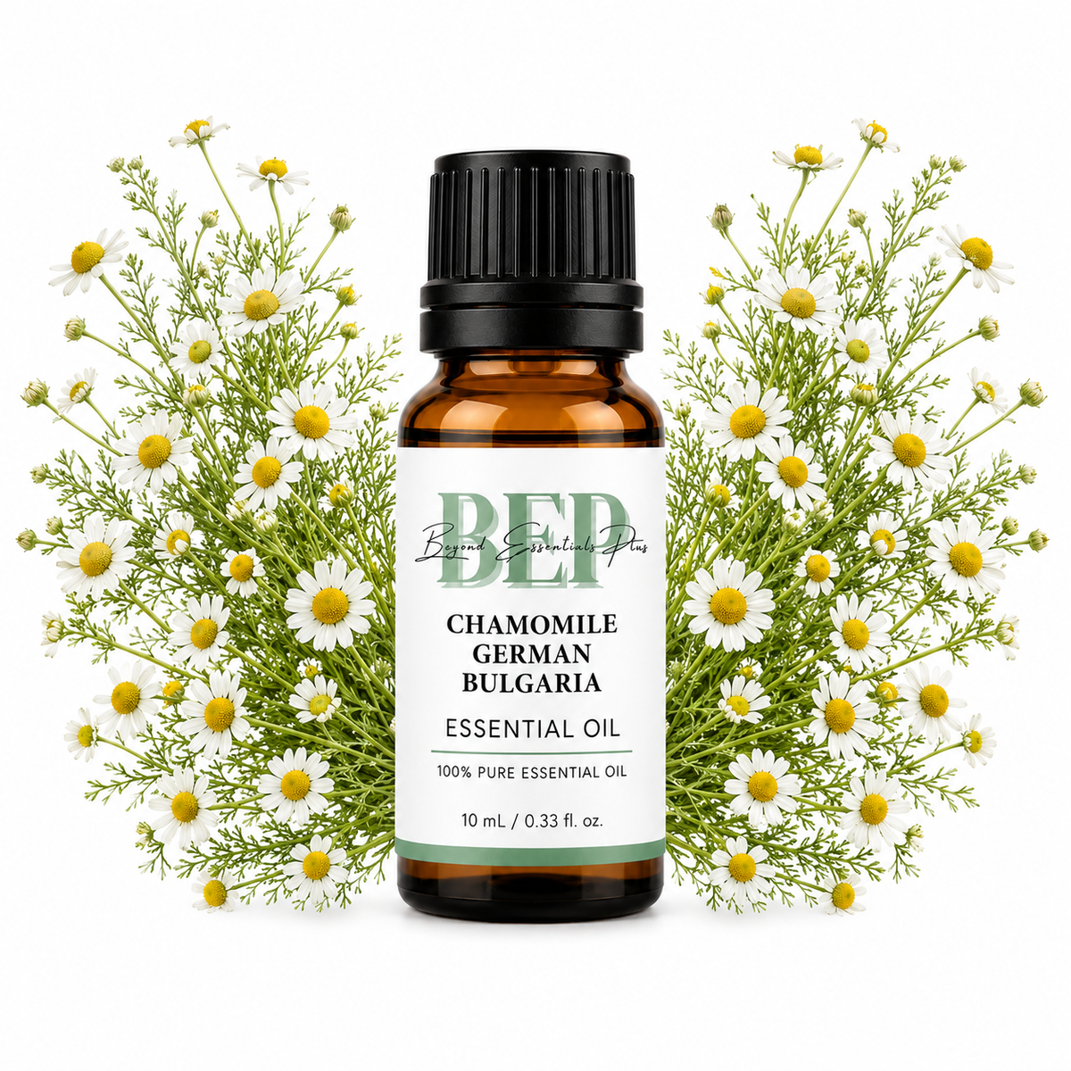 Chamomile German Bulgaria