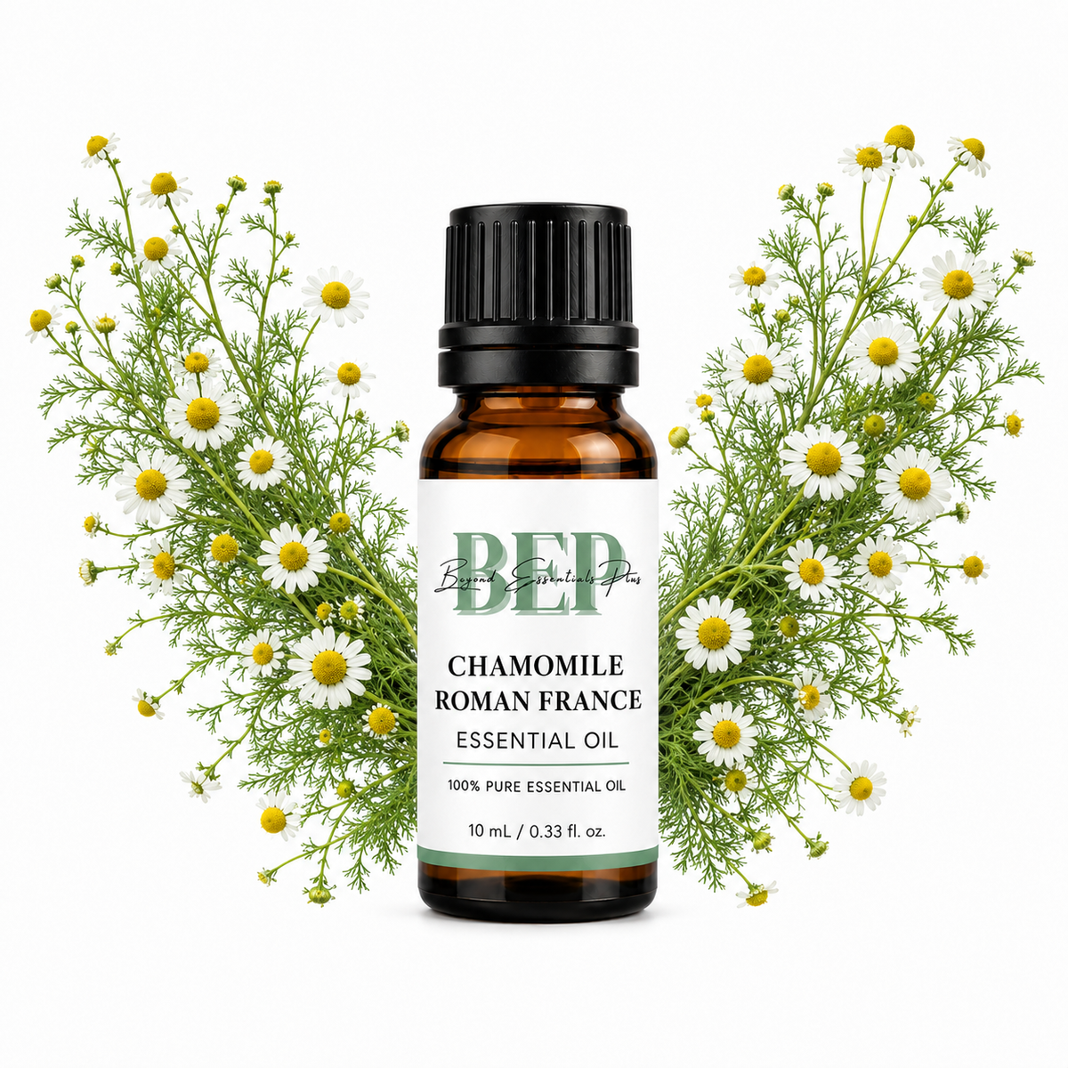 Chamomile Roman France