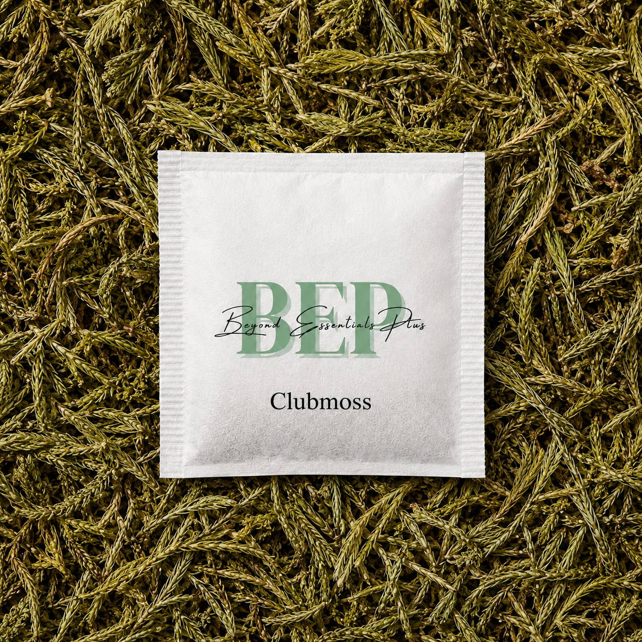 Clubmoss Tea Bag