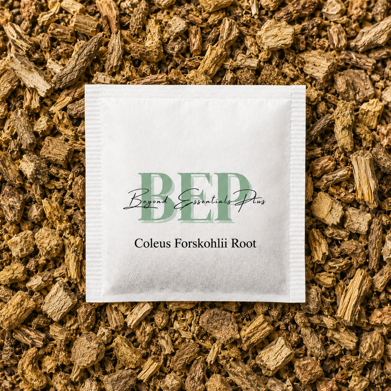 Coleus Forskohlii Root Tea Bag
