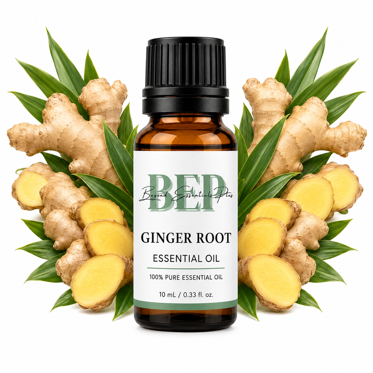 Ginger Root