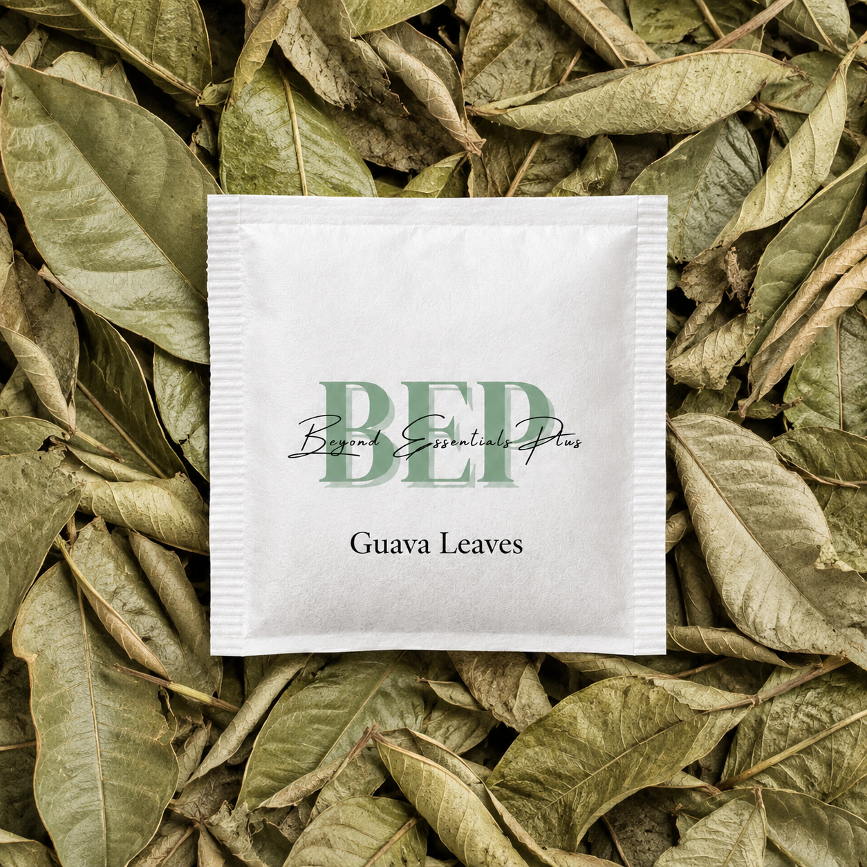 Guava Leaves Tea Bag