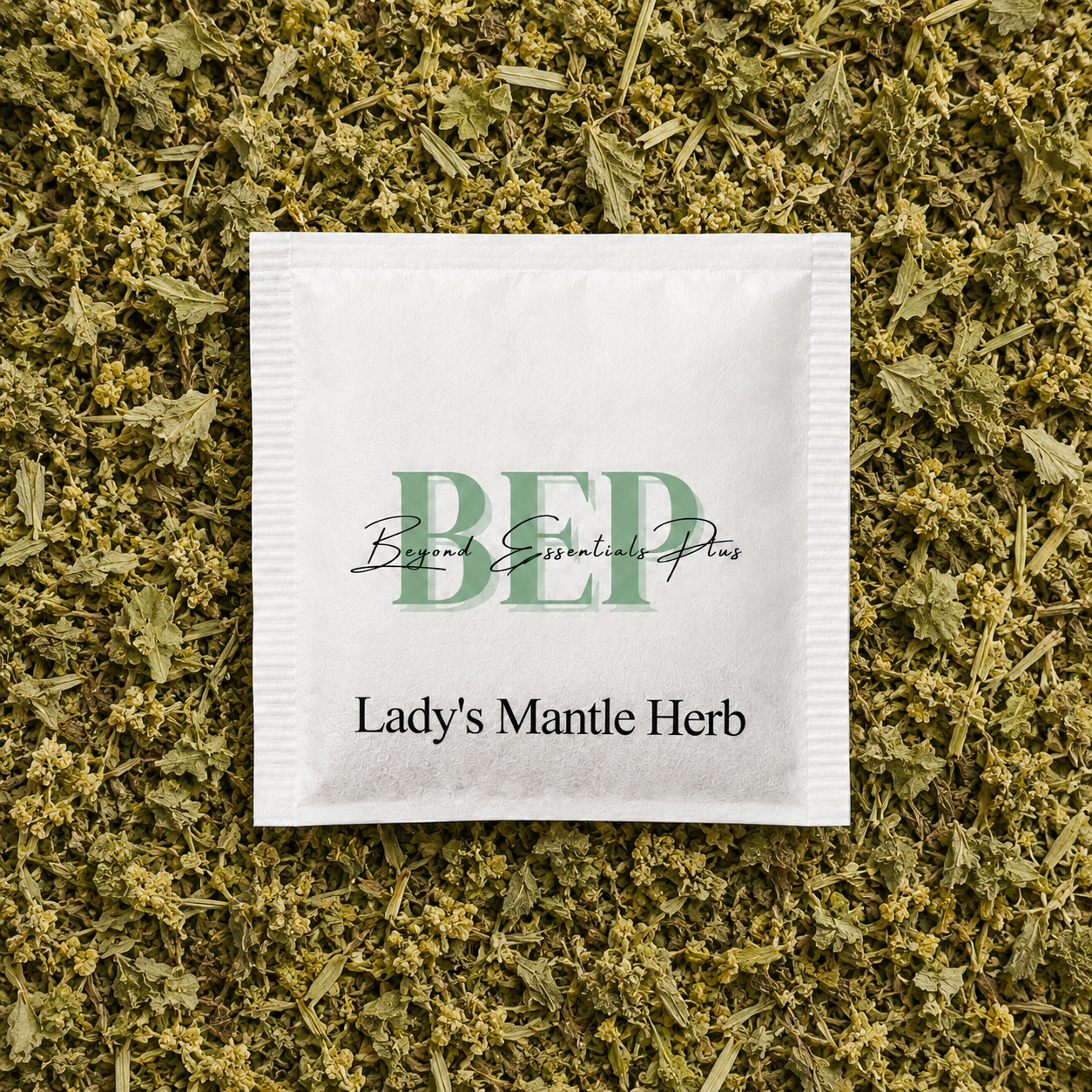 Lady's Mantle Herb Tea Bag
