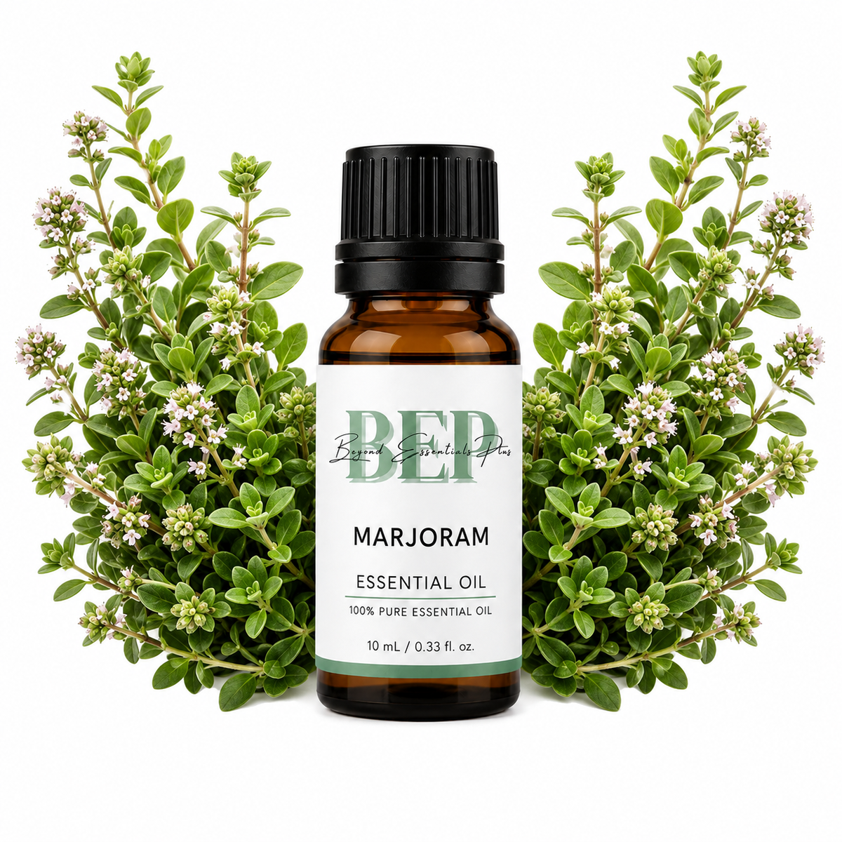 Marjoram