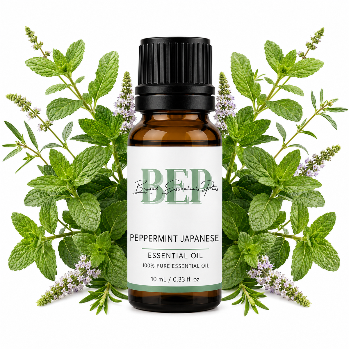 Menthe poivrée japonaise