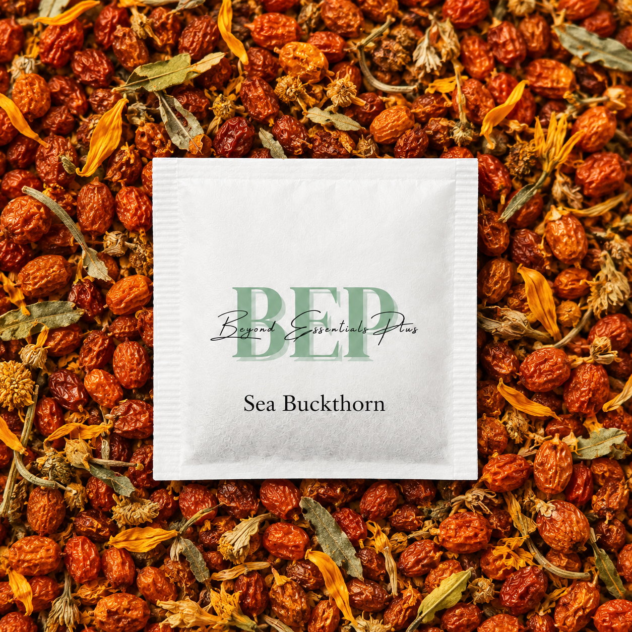 Sea Buckthorn Tea Bag