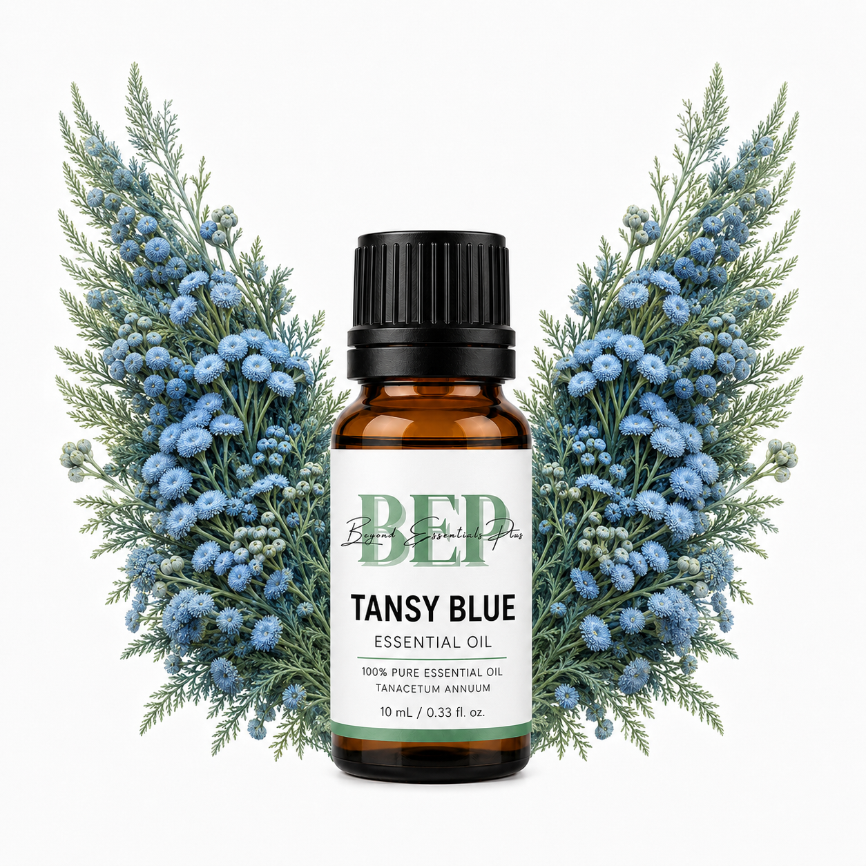Tansy Blue