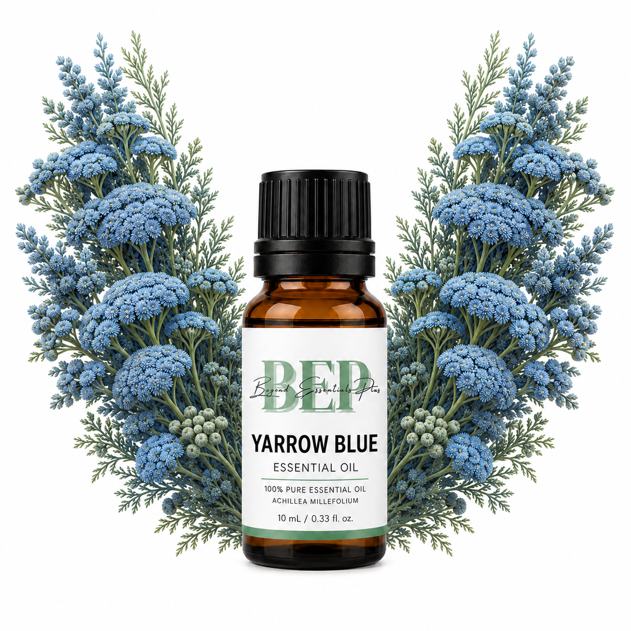 Yarrow Blue