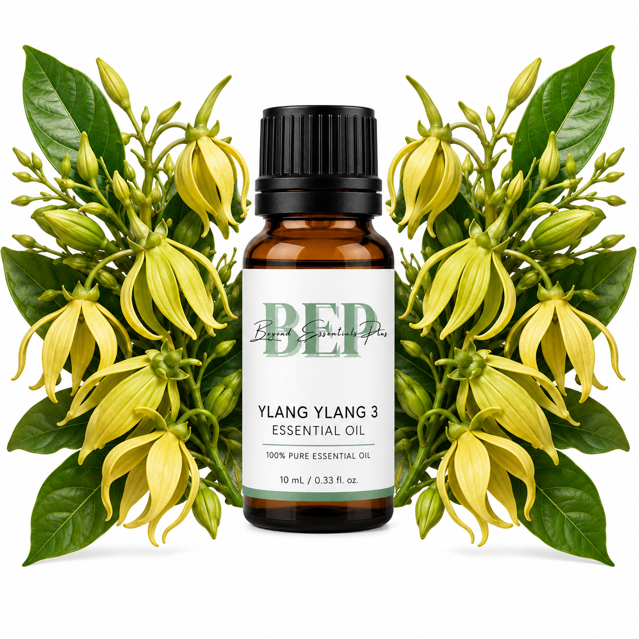Ylang Ylang 3