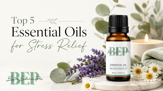 5 Essential Oils for a Calm Home | BEP
