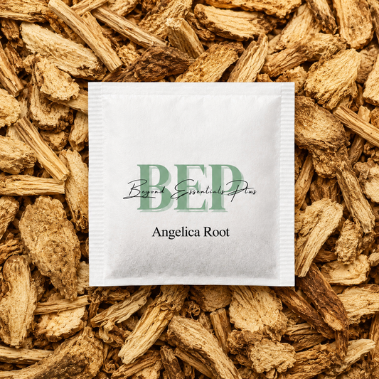 Angelica Root Tea Bag