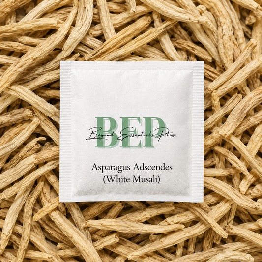 Asparagus Adscendes (White Musali) Tea Bag