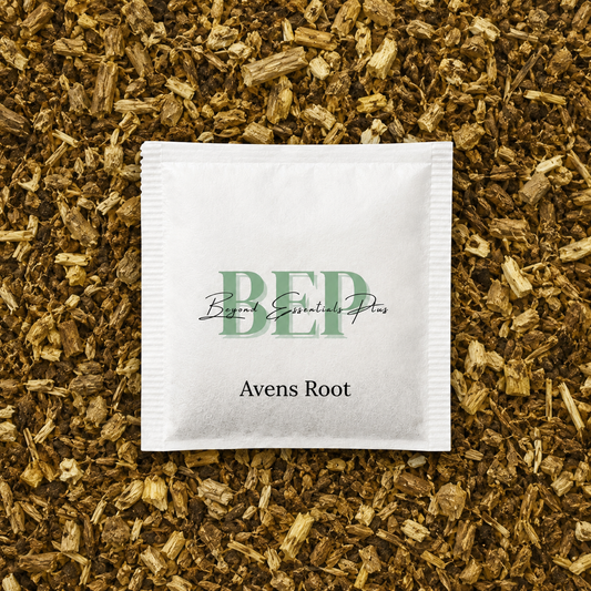 Avens Root Tea Bag