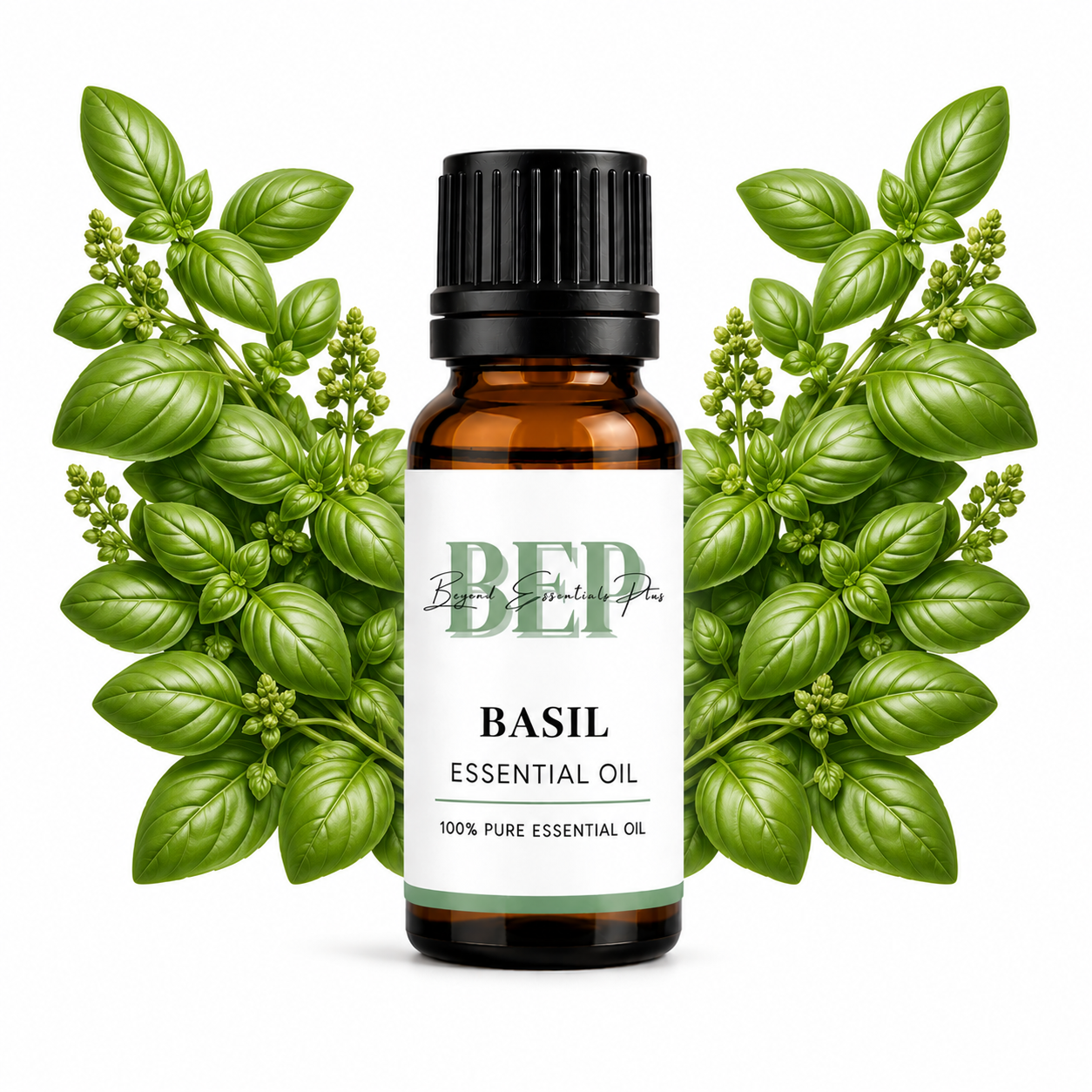 Basilic