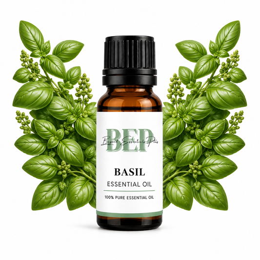Basilic