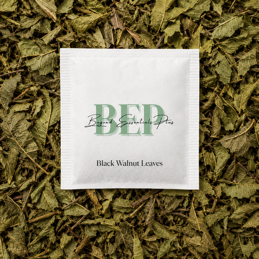Black Walnut Leaves Tea Bag