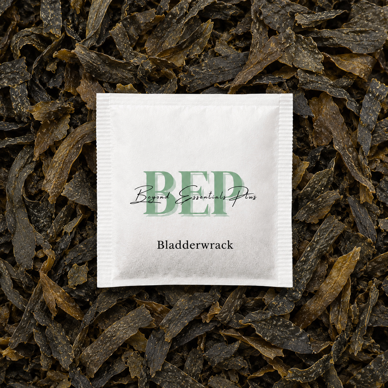 Bladderwrack Tea Bag