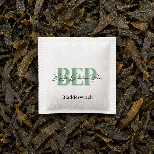 Bladderwrack Tea Bag
