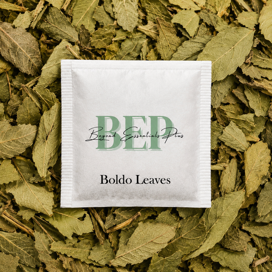 Boldo Leaves Tea Bag