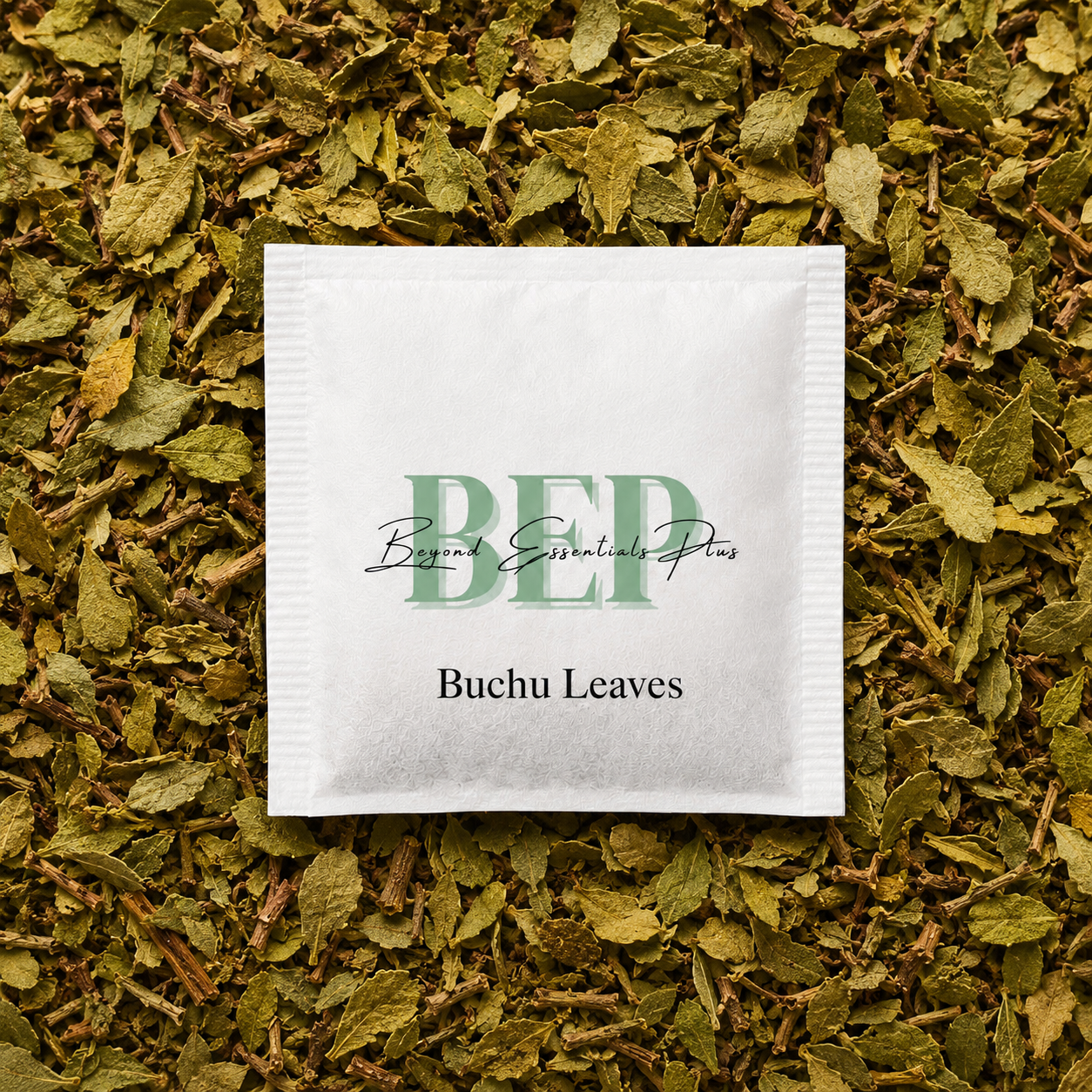 Buchu Leaves Tea Bag