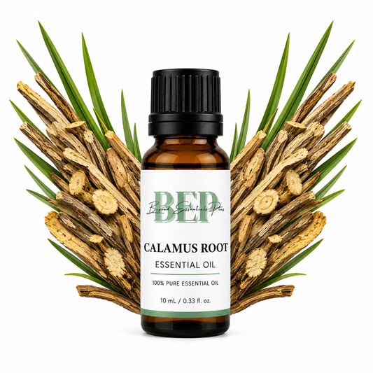 Calamus Root