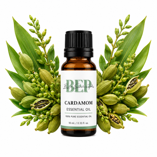Cardamom