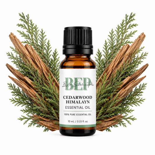 Cedarwood Himalayan
