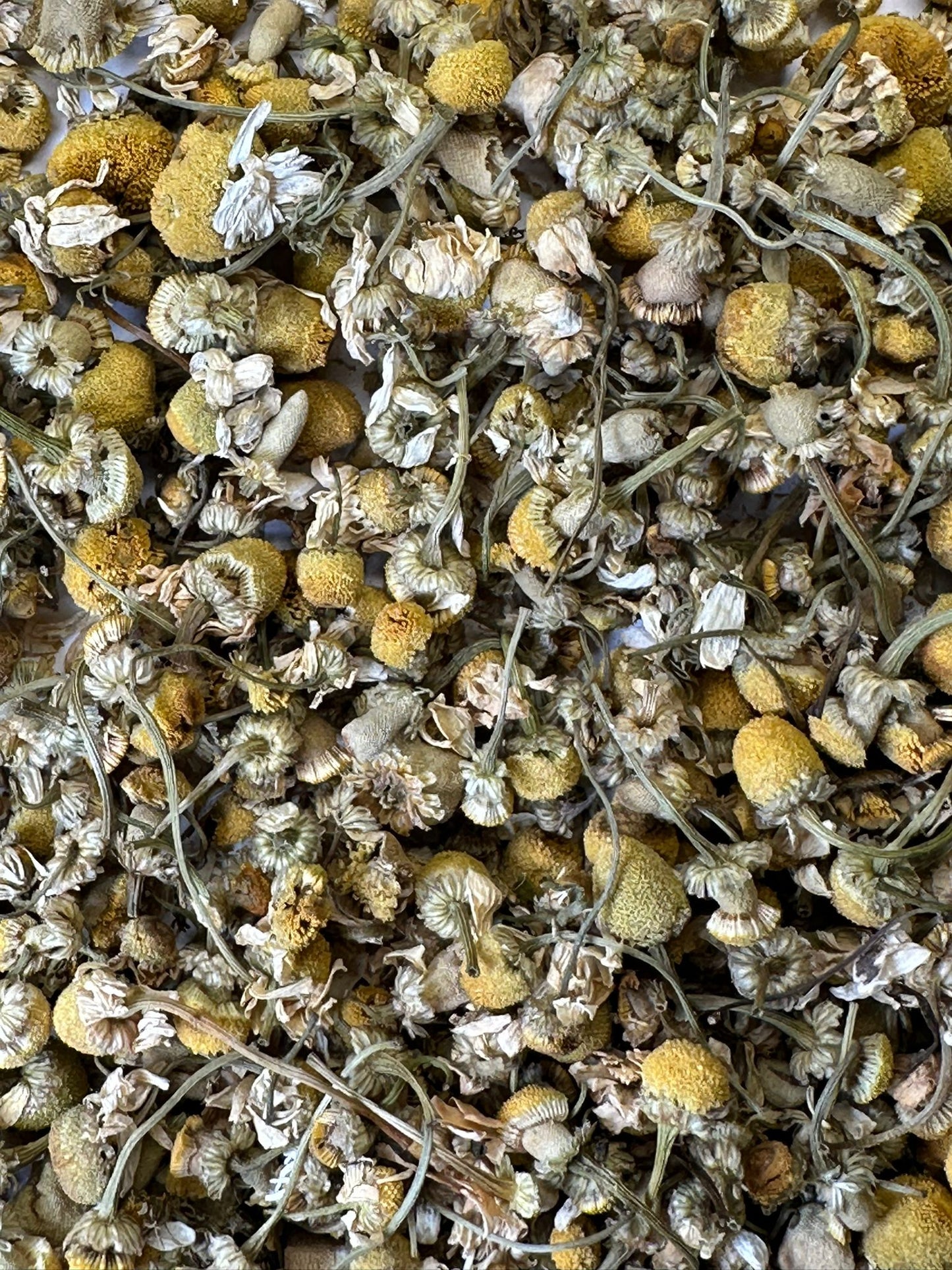 Khamai Chamomile