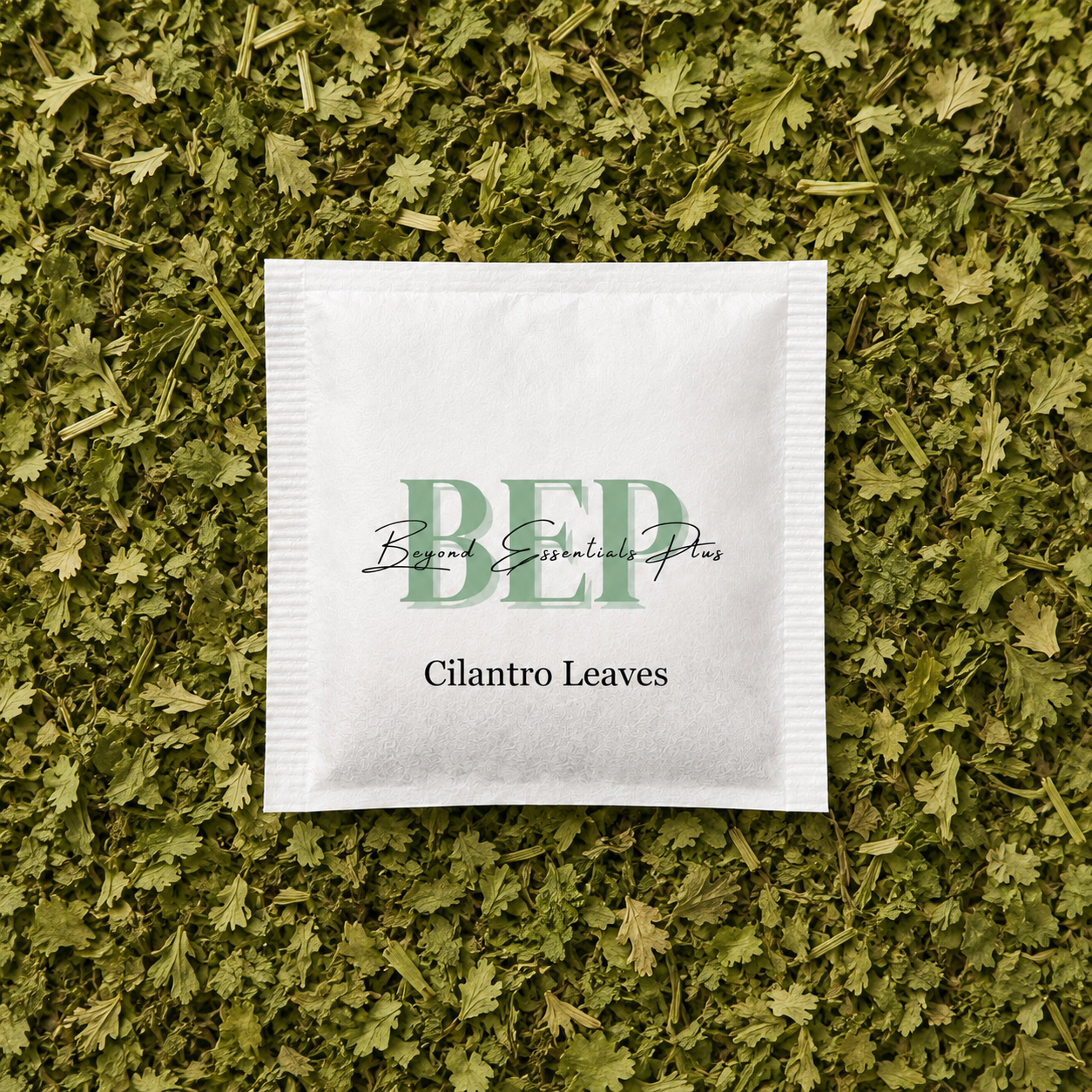 Cilantro Leaves Tea Bag