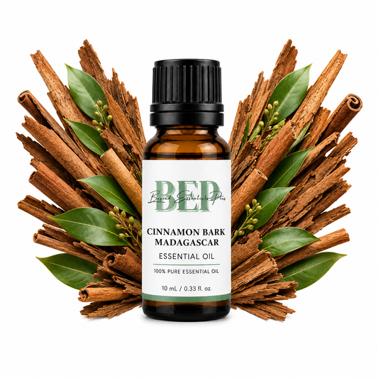 Cinnamon Bark Madagascar