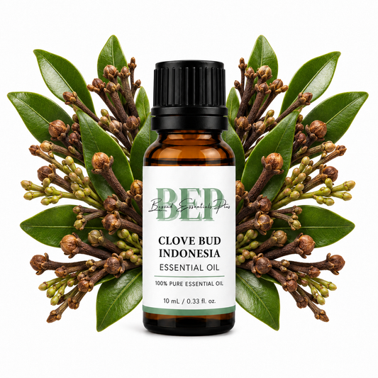 Clove Bud Indonesia