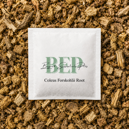 Coleus Forskohlii Root Tea Bag