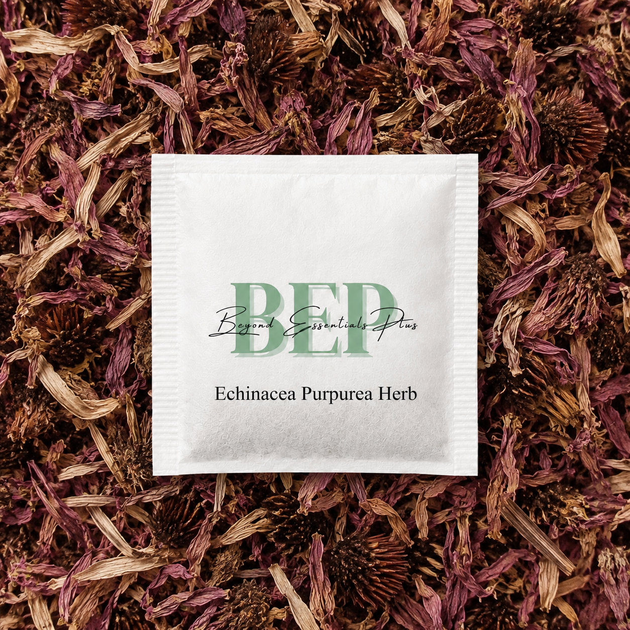 Echinacea Purpurea Herb Tea Bag