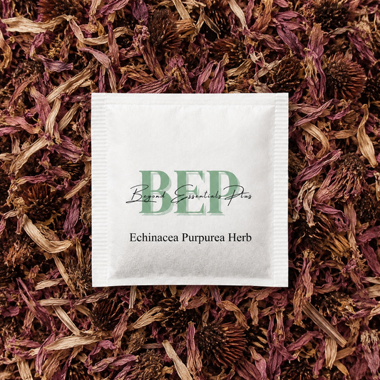 Echinacea Purpurea Herb Tea Bag