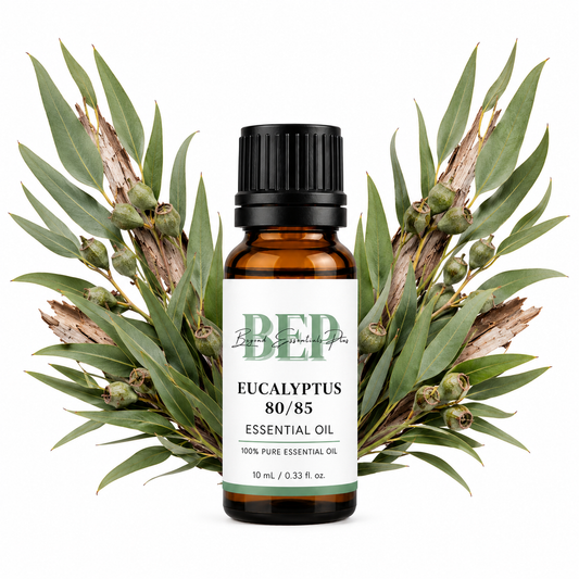 Eucalyptus 80/85