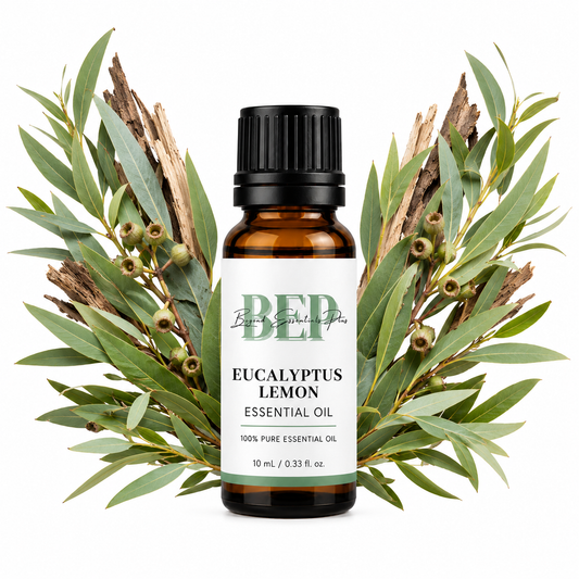 Eucalyptus citronné