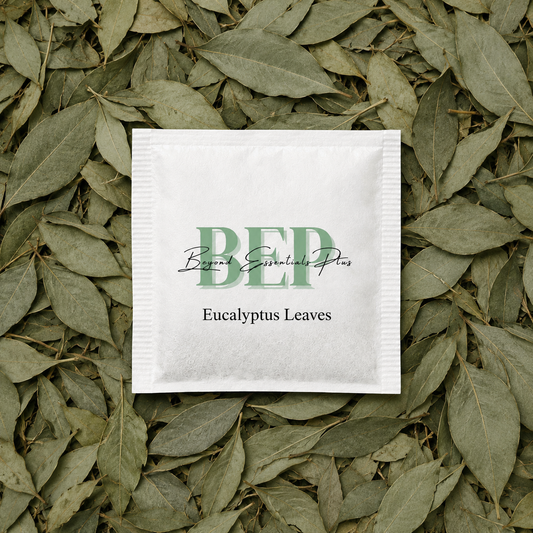 Eucalyptus Leaves Tea Bag