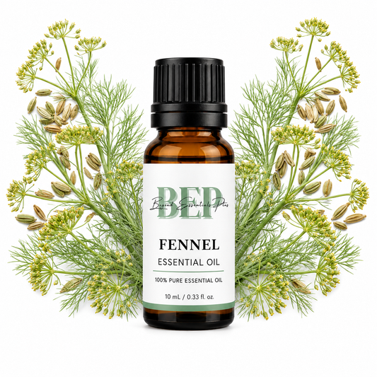 Fenouil