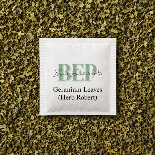 Geranium Leaves (Herb Robert) Tea Bag
