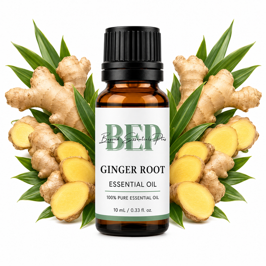 Ginger Root