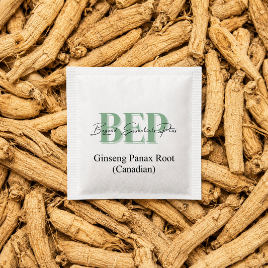 Ginseng Panax Root Tea Bag (Canadian)
