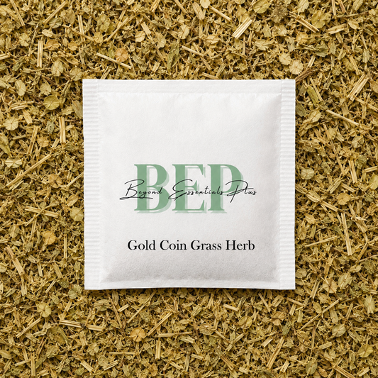 Gold Coin Grass Herb Tea Bag