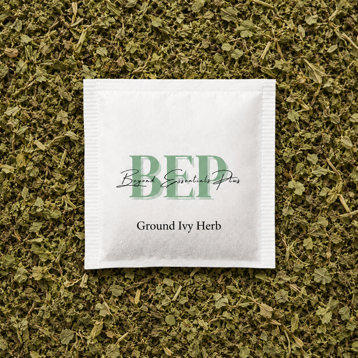 Ground Ivy Herb Tea Bag