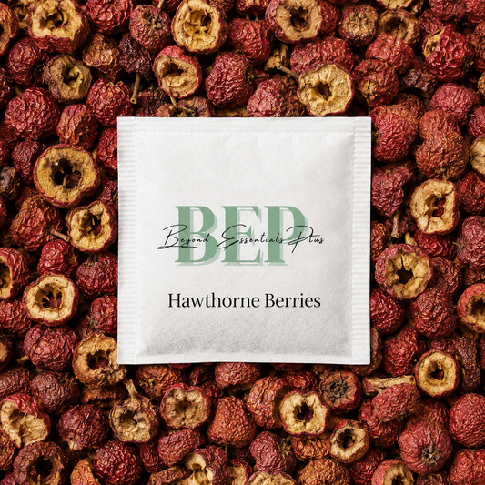 Hawthorne Berries Tea Bag
