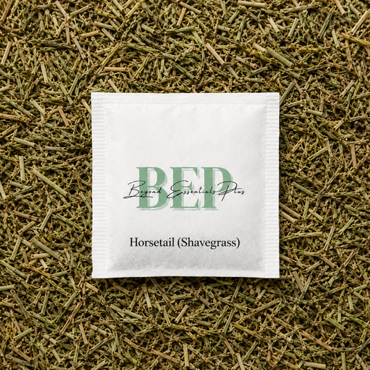 Horsetail (Shavegrass) Tea Bag
