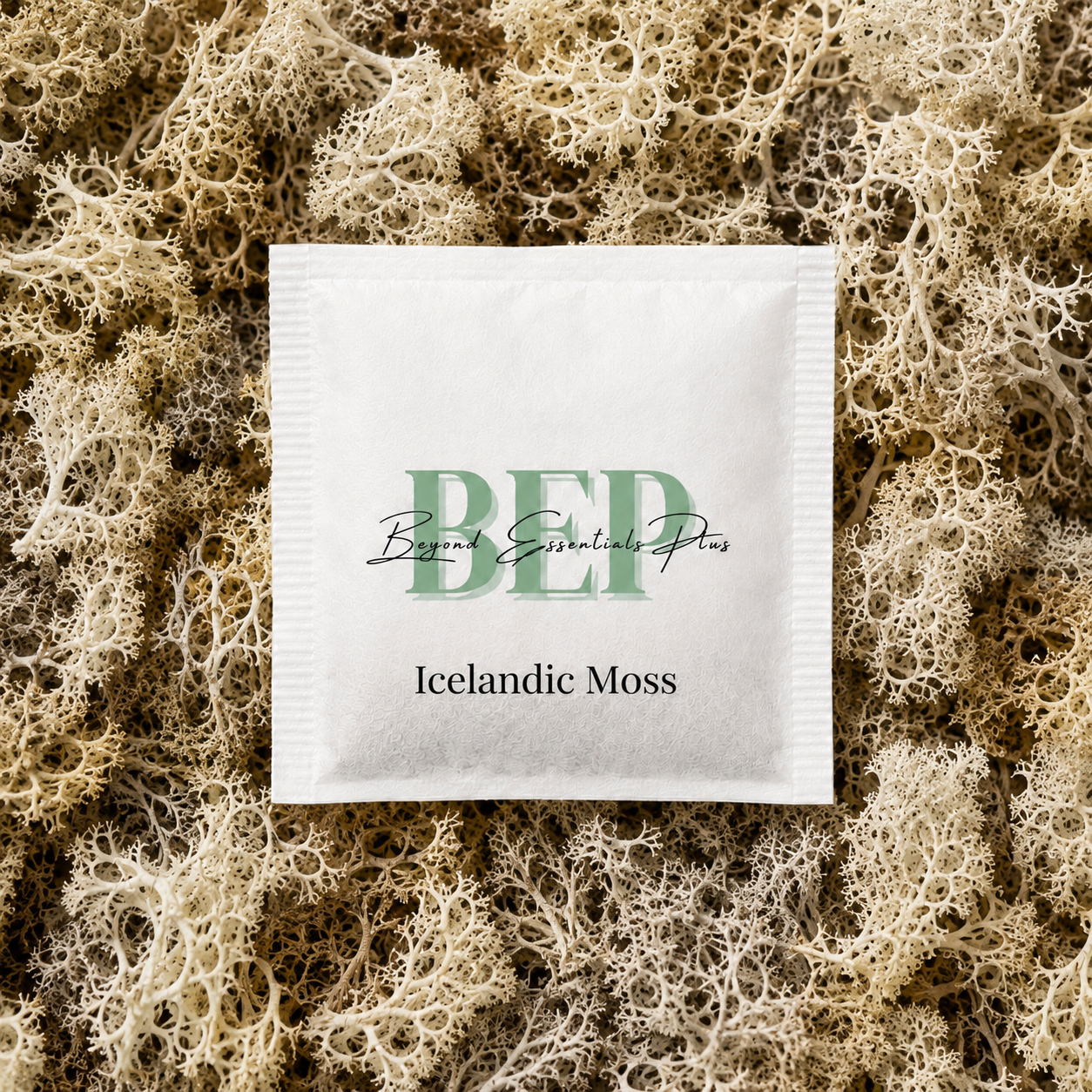 Sachet de thé à la mousse islandaise