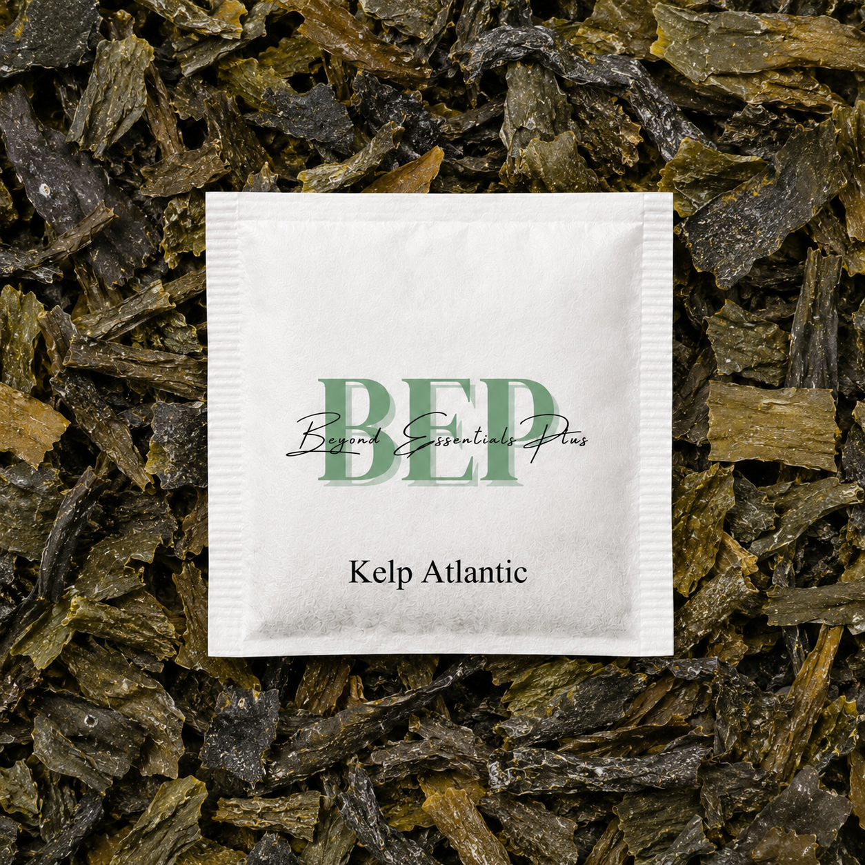 Kelp Atlantic Tea Bag