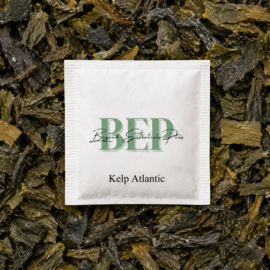 Kelp Atlantic Tea Bag