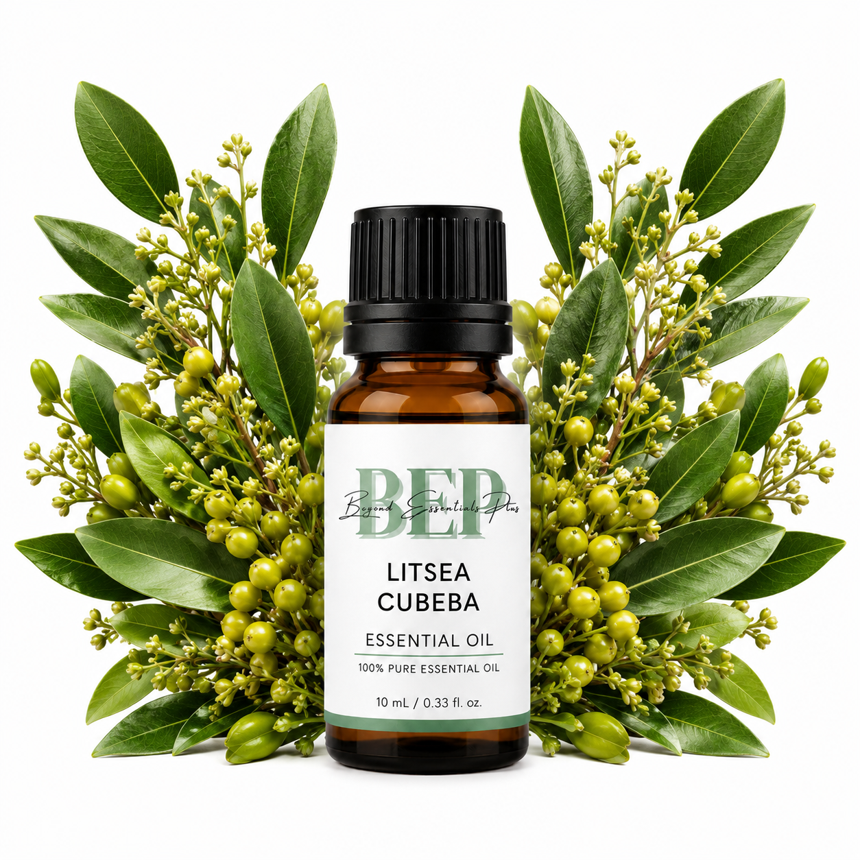 Litsea Cubeba